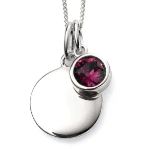 Sterling Silver February Birthstone Necklace P4591